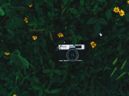 Craig Spiesman - Photography