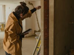 mold inspection and removal