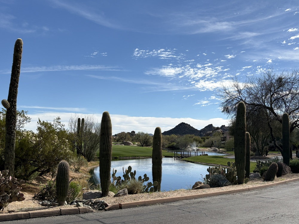 Craig Spiesman image showing cactus plants, reflective water, and green landscape
