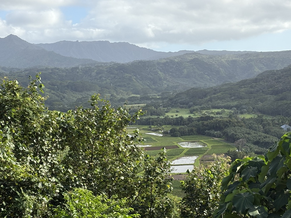 Craig Spiesman image showing mountain slopes above green farmland and dense trees
